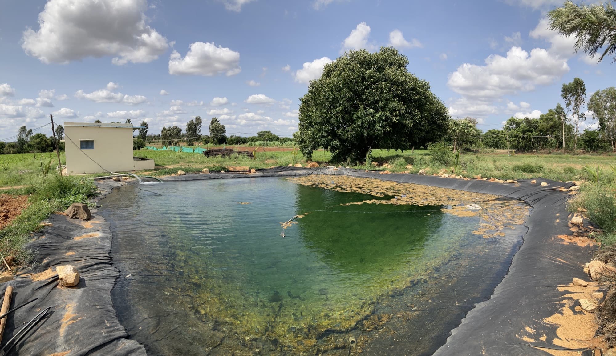 A freshly lined HasiruAqua farm pond holding water under a wide Karnataka sky