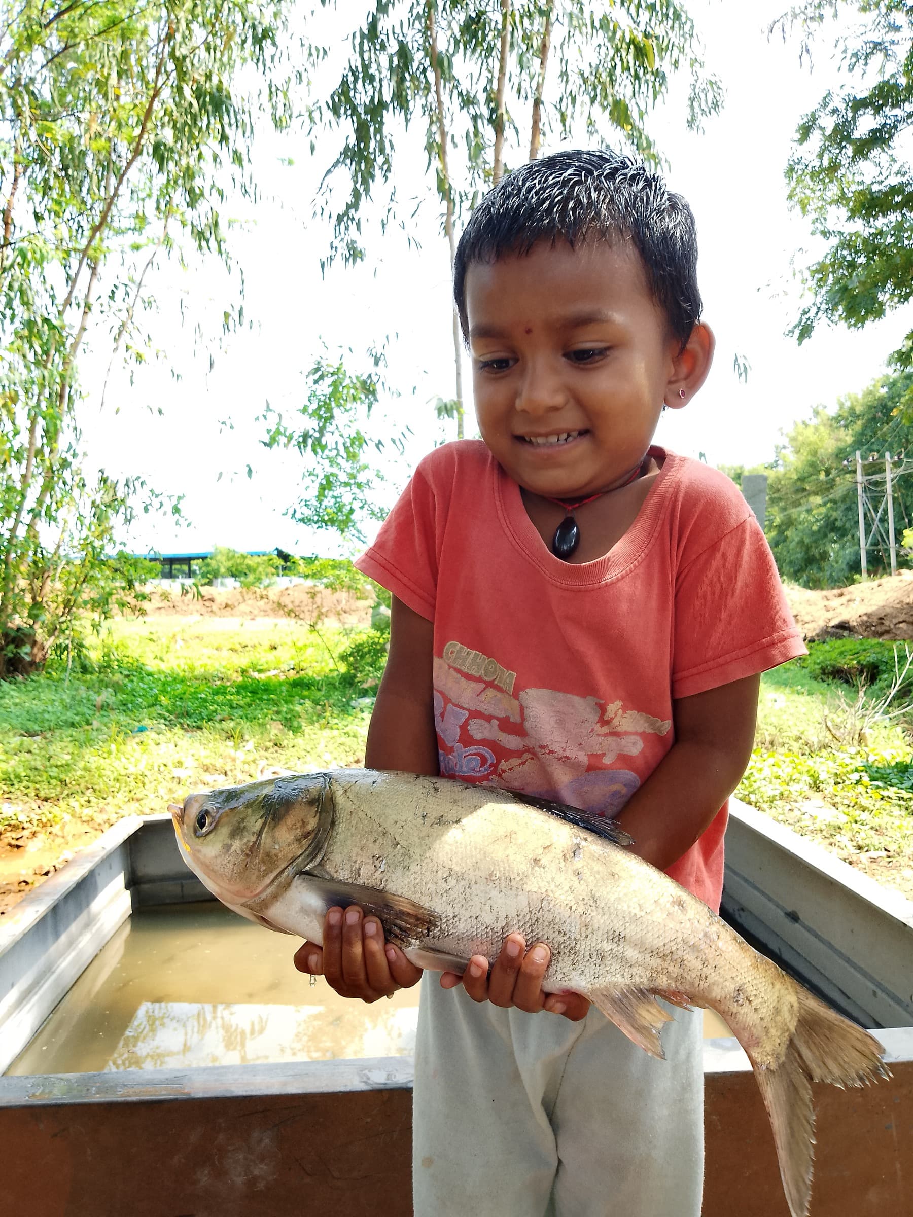 A grinning boy in a red shirt holds up a silver carp nearly his own size beside a HasiruAqua grow tank