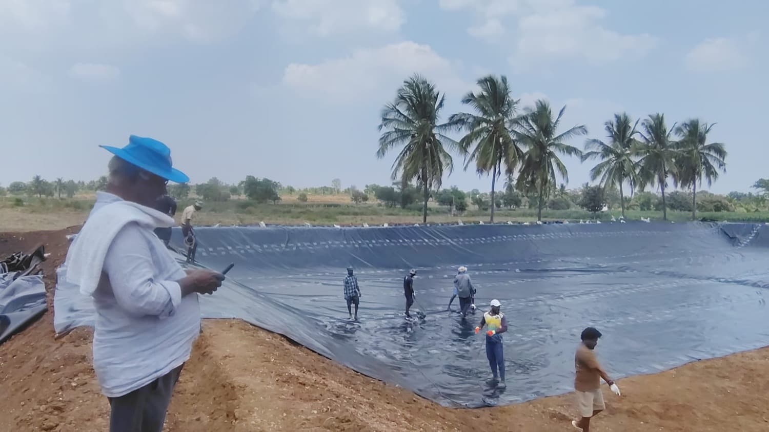 A crew wades across the black HDPE liner of a new HasiruAqua farm pond, foreman in a blue hat watching, coconut palms behind