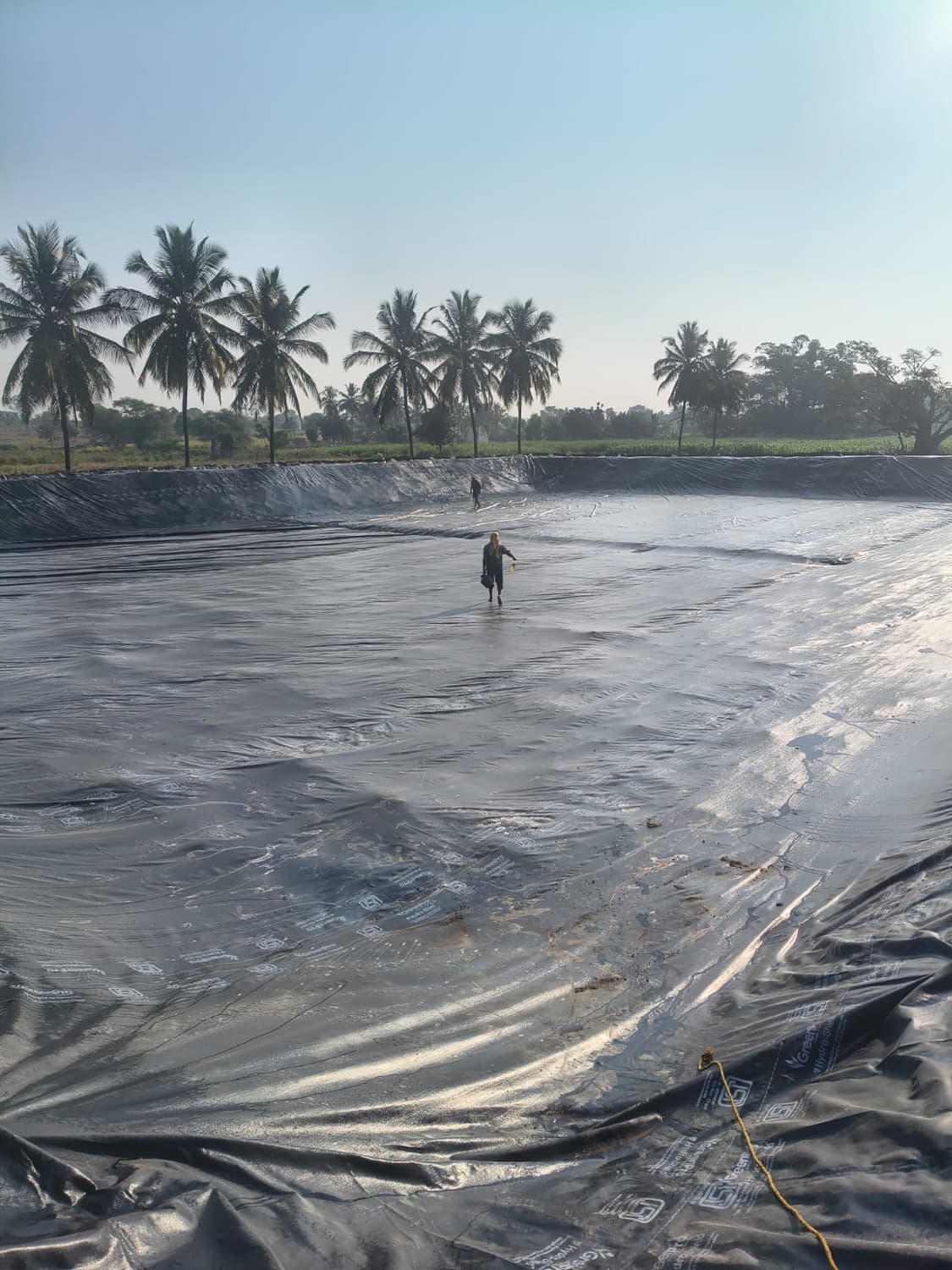 A lone figure stands on the vast black HDPE liner of a newly built HasiruAqua farm pond — a quarter-acre of lined water surface